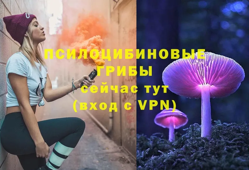 Псилоцибиновые грибы Cubensis  Кириллов 